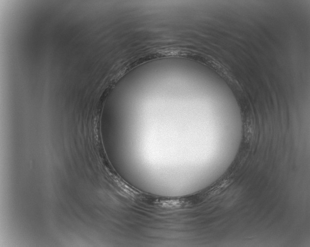 X0000056000473200508190826