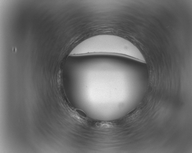 X0000056000475200508190826