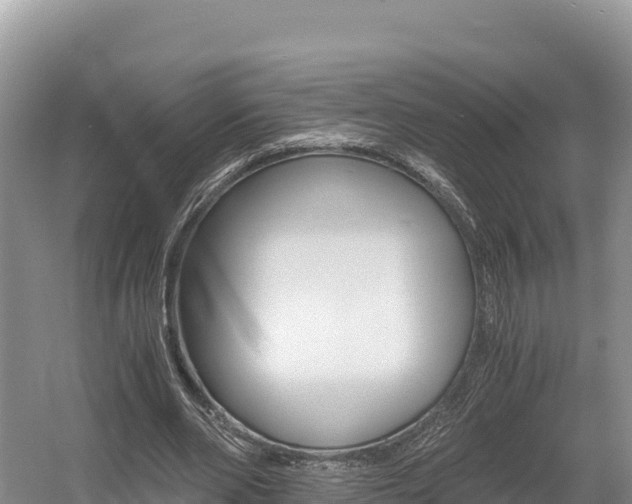 X0000056000486200508190825