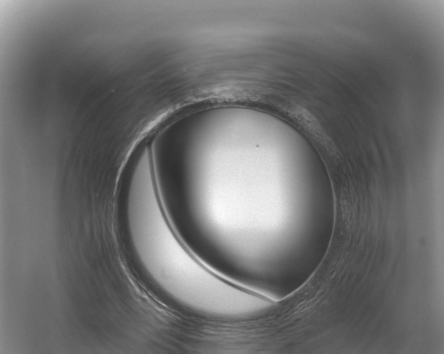 X0000056000488200508190825