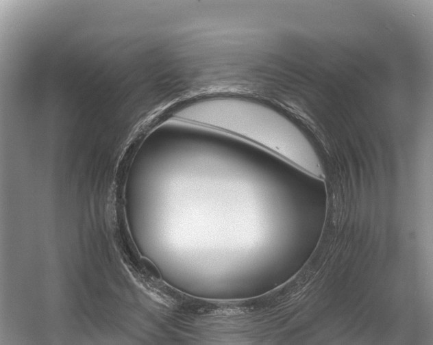 X0000056000492200508190825