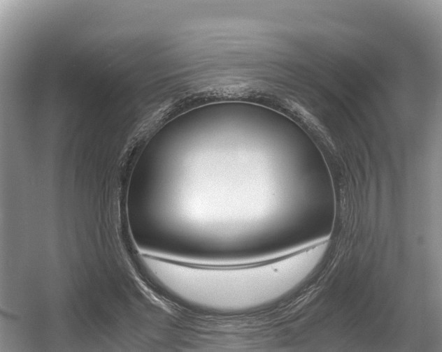 X0000056000493200508190825