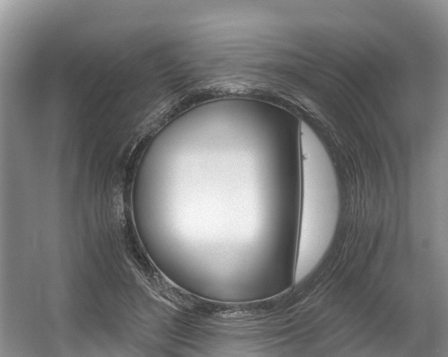 X0000056000500200508190825