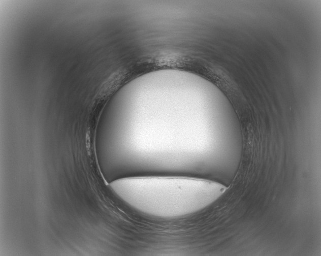 X0000056000502200508190825