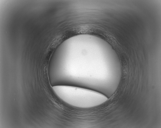 X0000056000503200508190825