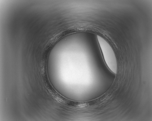 X0000056000505200508190825