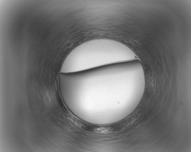 X0000056000511200508190825