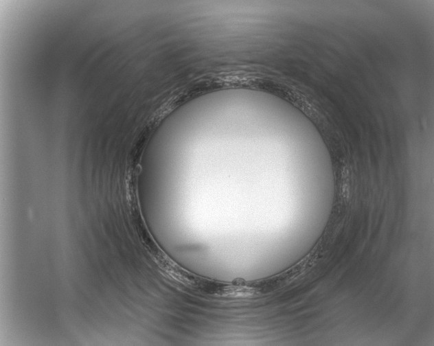 X0000056000514200508190825
