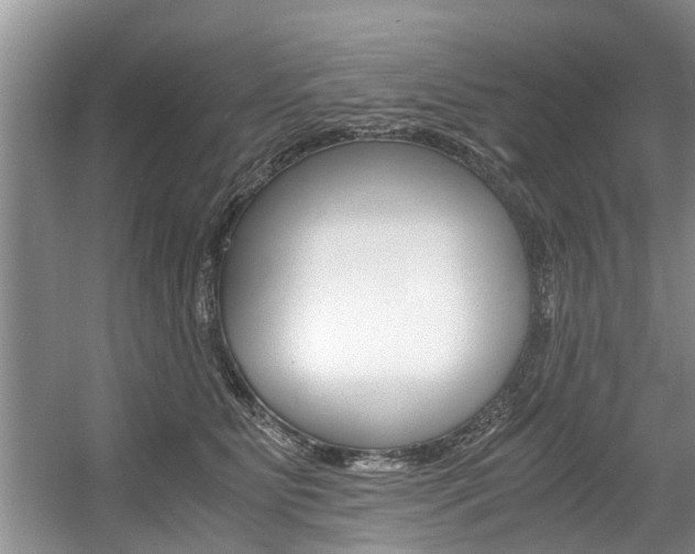 X0000056000515200508190825