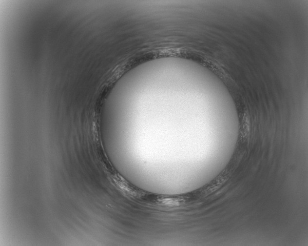 X0000056000522200508190825