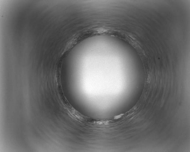 X0000056000524200508190825