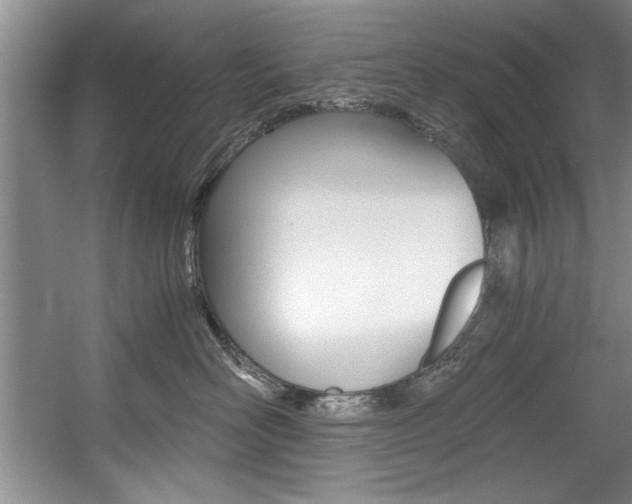 X0000056000526200508190825