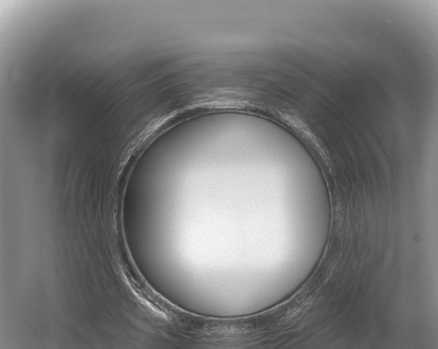 X0000056000533200508190824