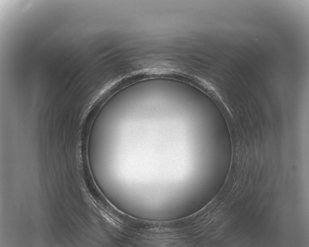 X0000056000535200508190824