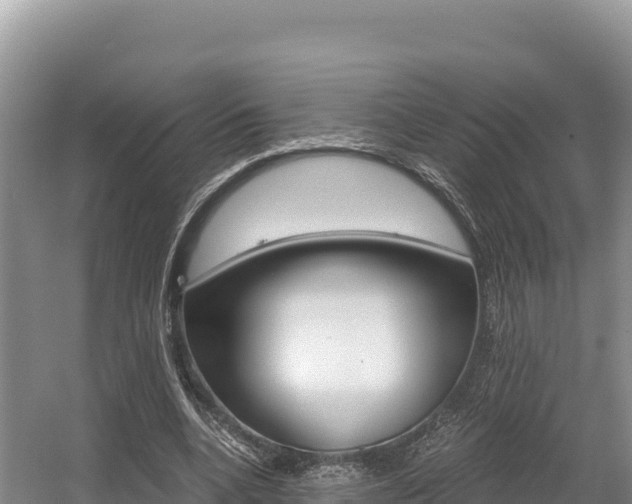 X0000056000536200508190824