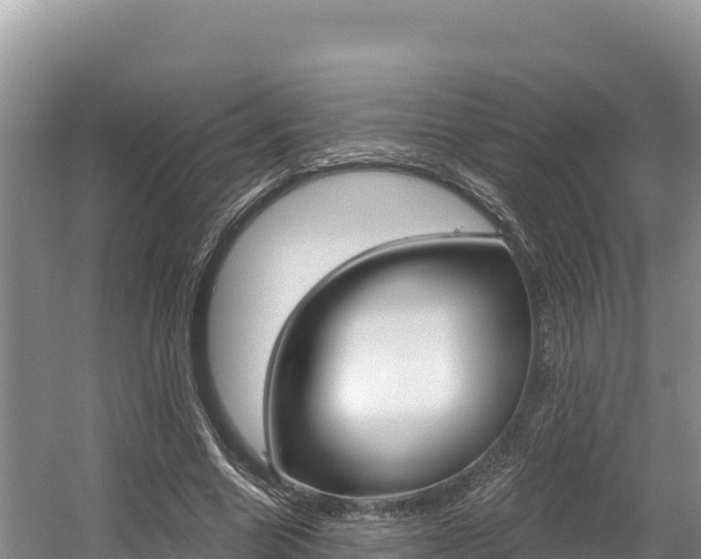 X0000056000538200508190824