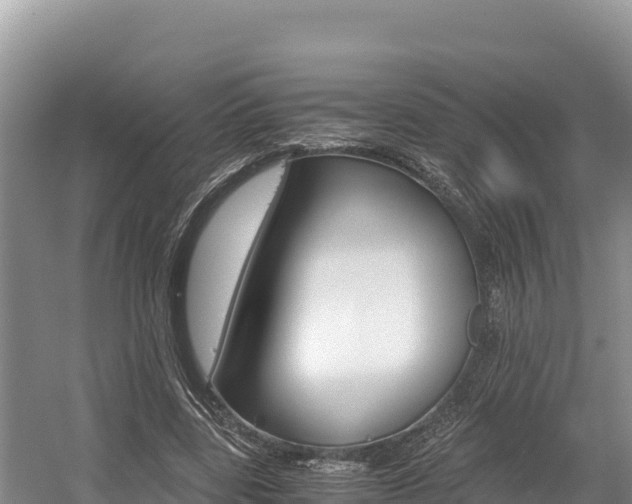 X0000056000539200508190824