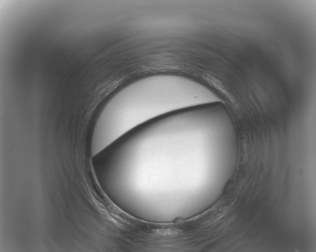 X0000056000541200508190824