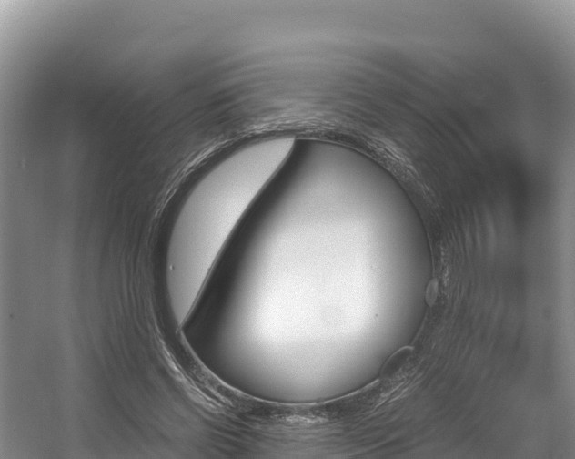 X0000056000542200508190824