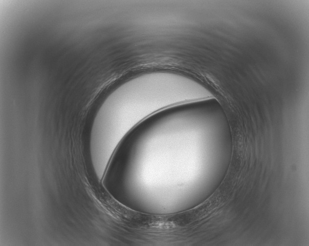 X0000056000543200508190824