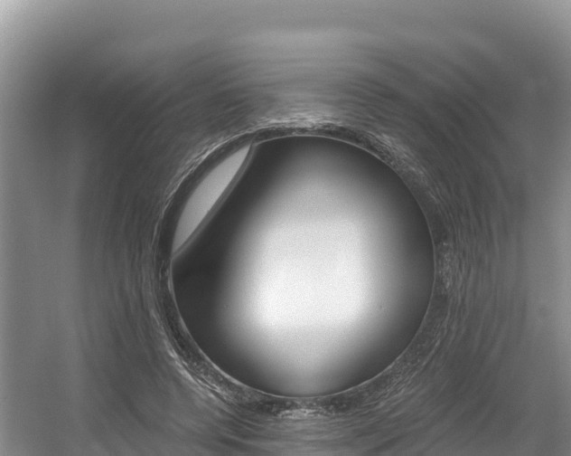 X0000056000544200508190824