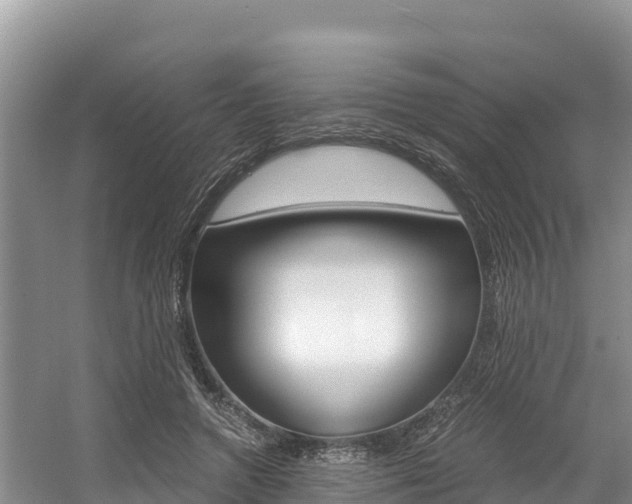 X0000056000546200508190824