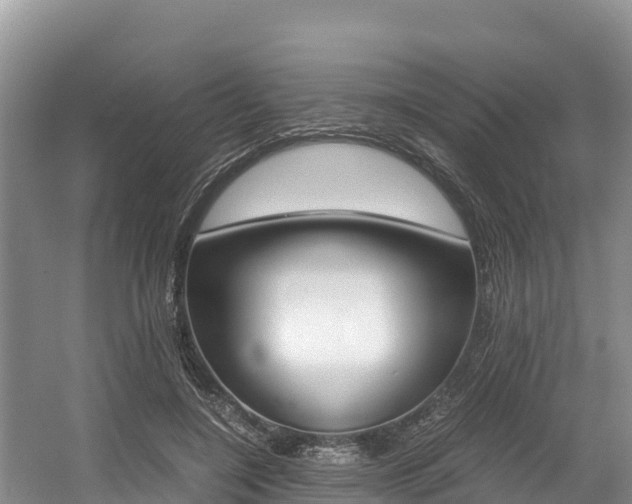 X0000056000548200508190824