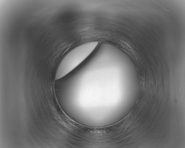 X0000056000549200508190824