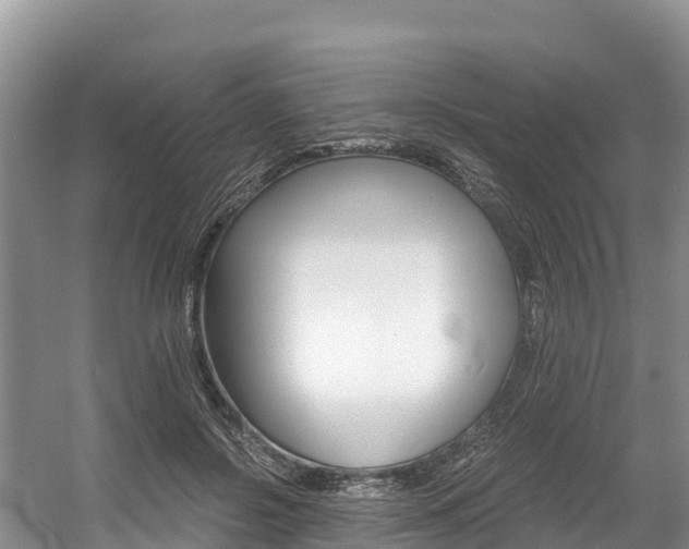 X0000056000550200508190824