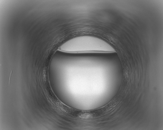 X0000056000551200508190824