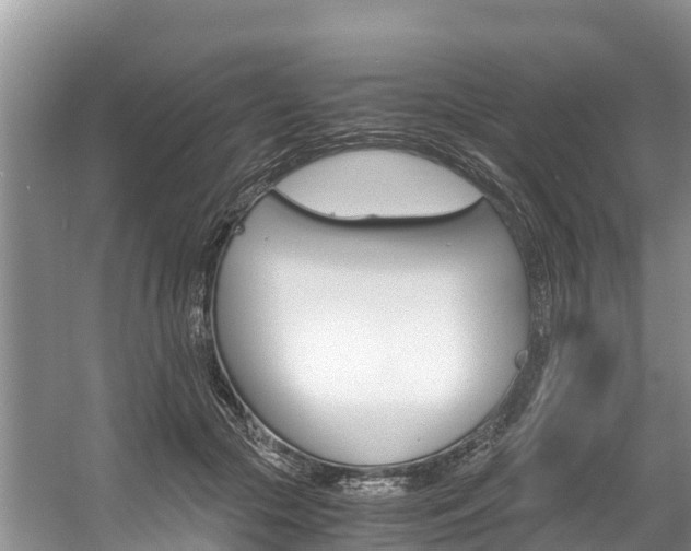 X0000056000553200508190824