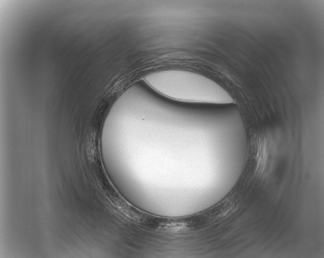 X0000056000554200508190824