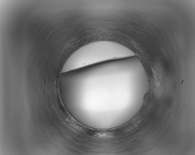 X0000056000557200508190824