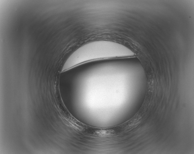 X0000056000558200508190824