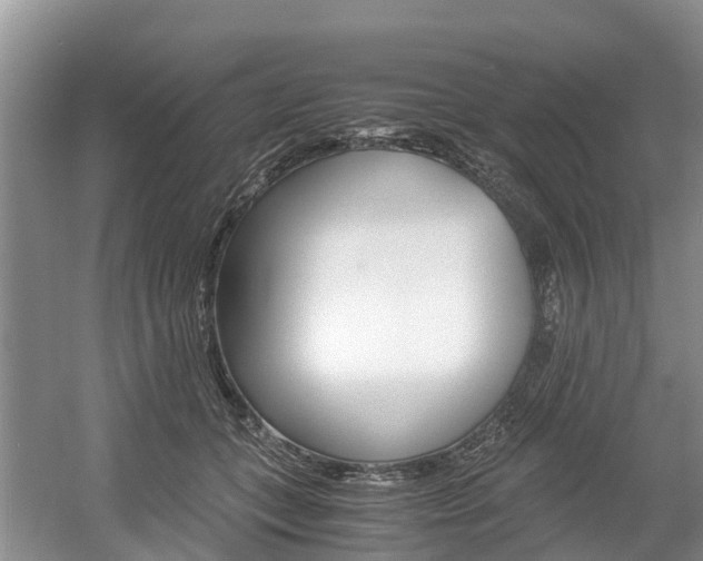 X0000056000559200508190824
