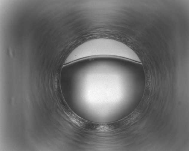 X0000056000562200508190824
