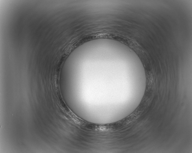 X0000056000565200508190824