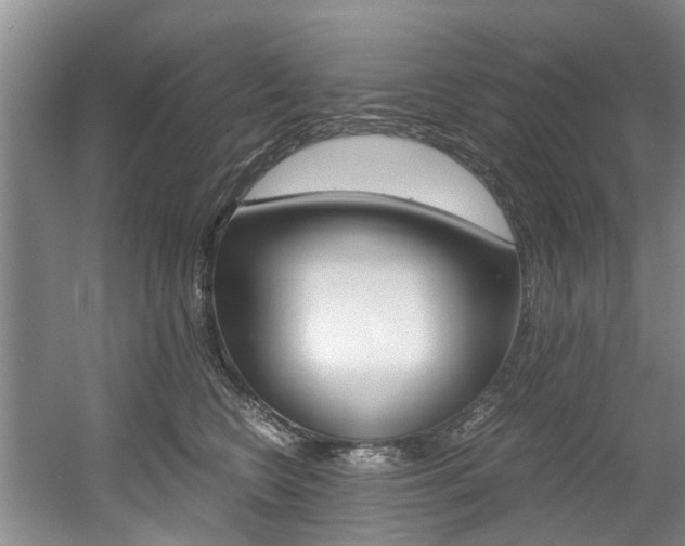X0000056000566200508190824