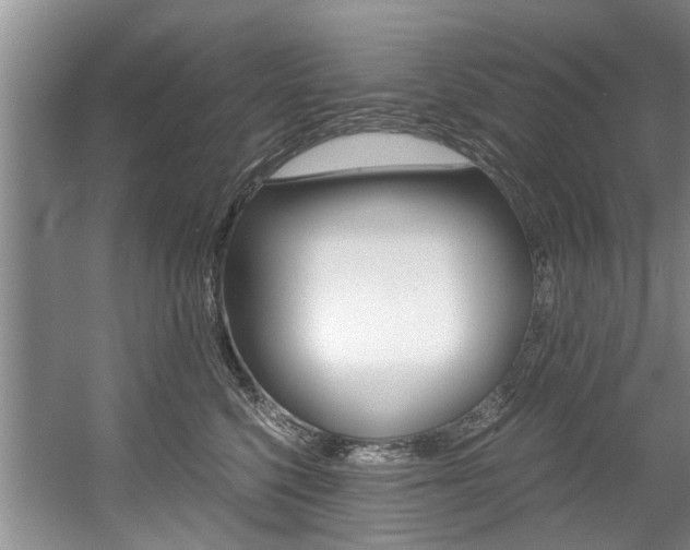 X0000056000568200508190824
