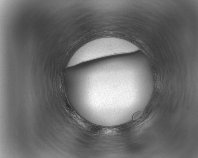 X0000056000569200508190824