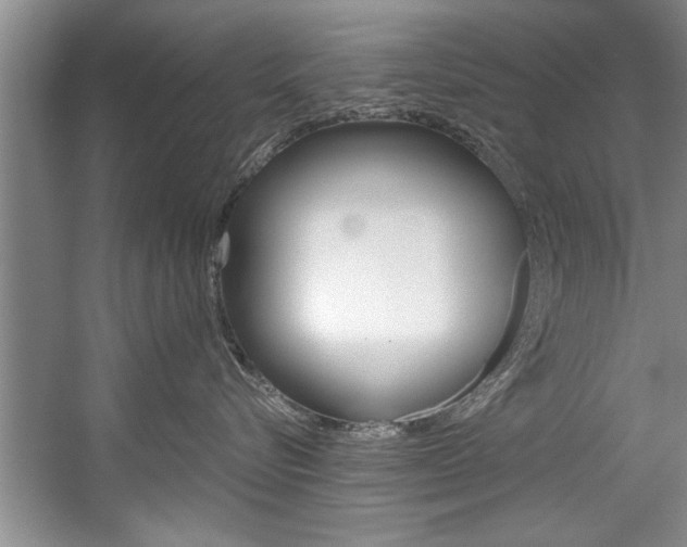 X0000056000576200508190825