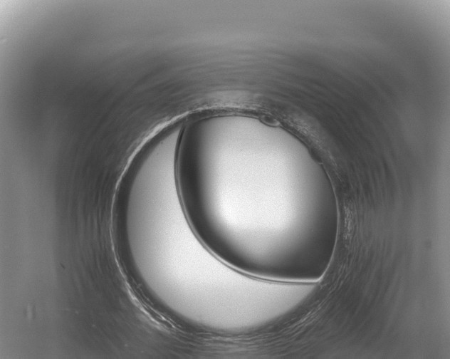 X0000056000580200508190824