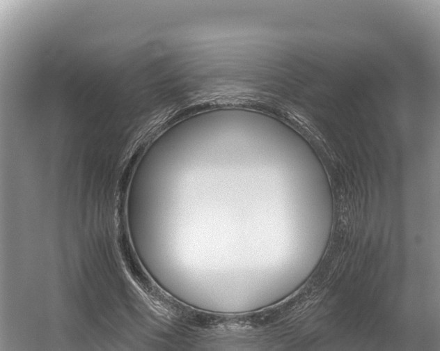 X0000056000586200508190824