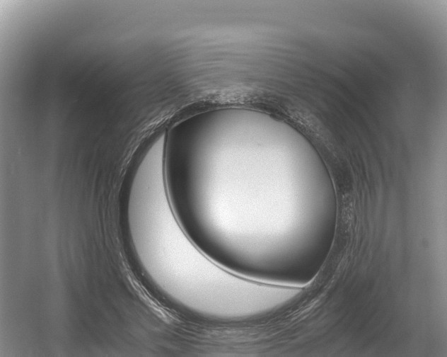 X0000056000589200508190823