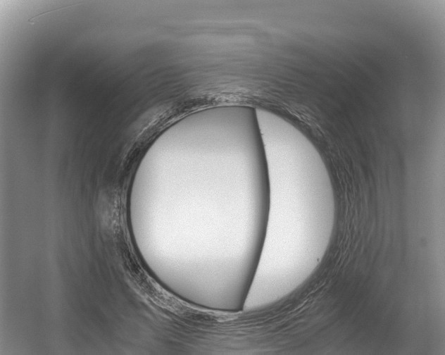 X0000056000591200508190823