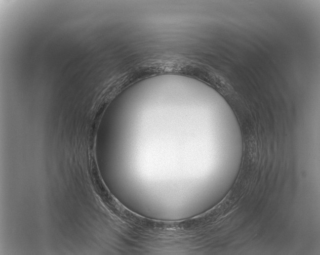 X0000056000594200508190823