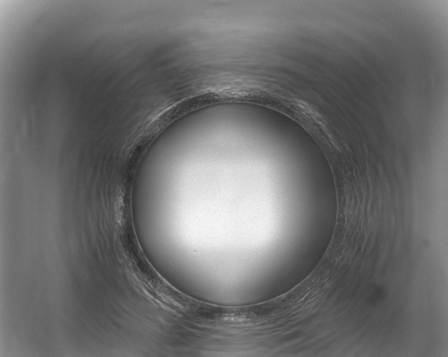 X0000056000596200508190823