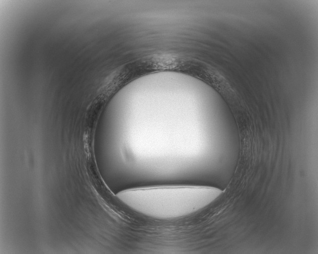 X0000056000598200508190823