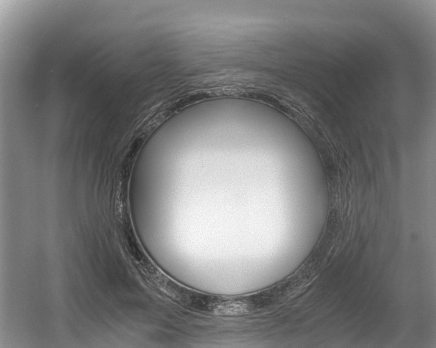 X0000056000599200508190823
