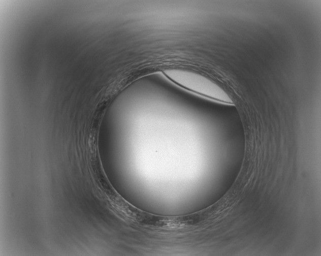 X0000056000601200508190823